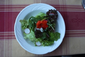 Salat mit Radischen und einem Blüemli